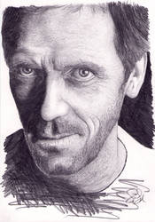 Doctor House / Hugh Laurie Portrait.