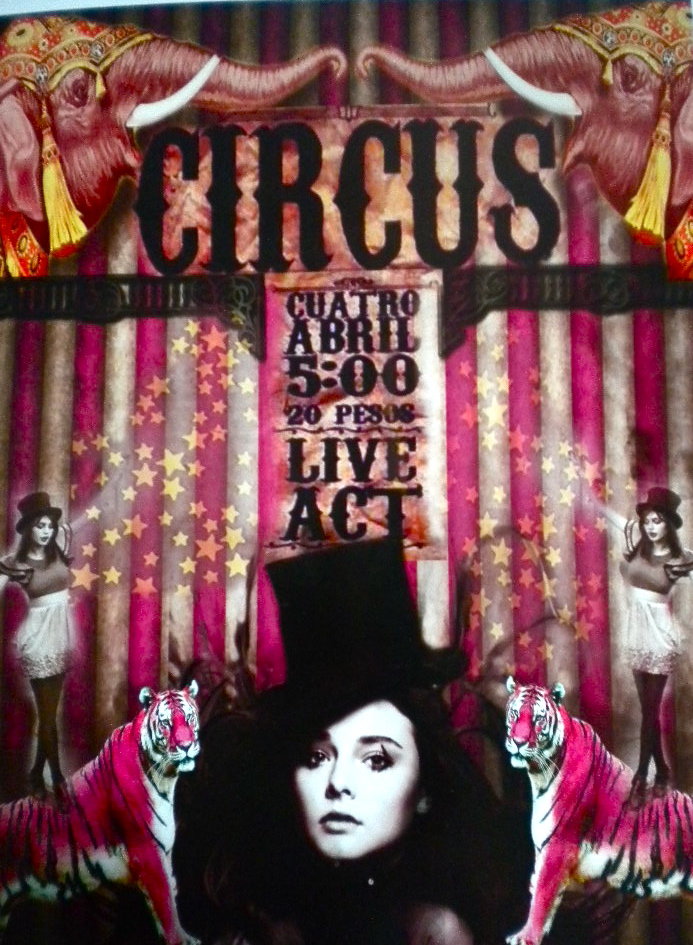 Circus