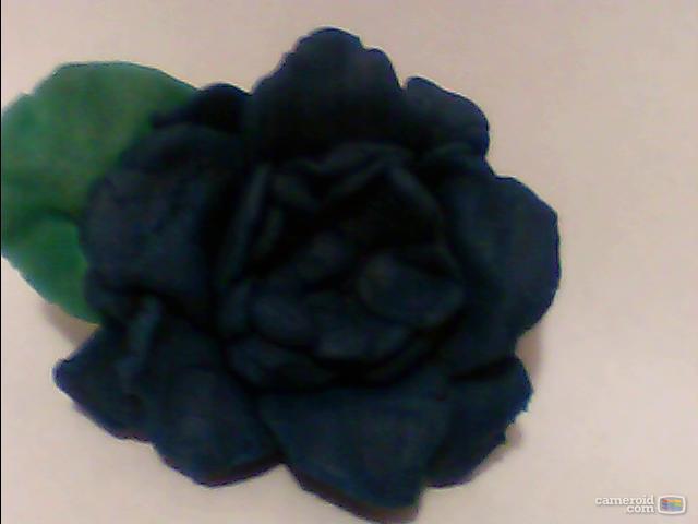 Blue Rose