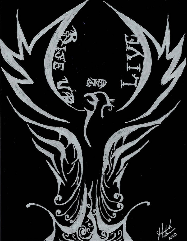 Phoenix Cycle Invert by TheDivineMissH on DeviantArt