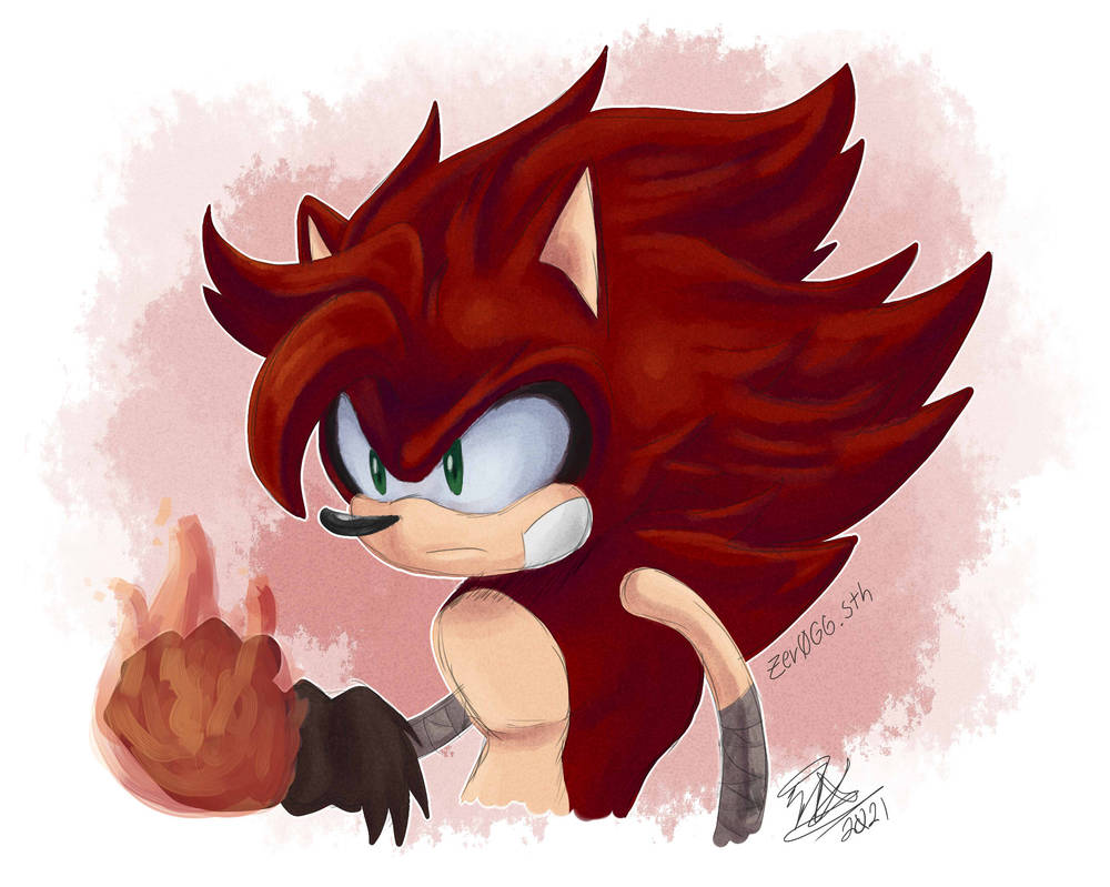 Ryu The Fire Hedgehog by AsunaSTH99 on DeviantArt