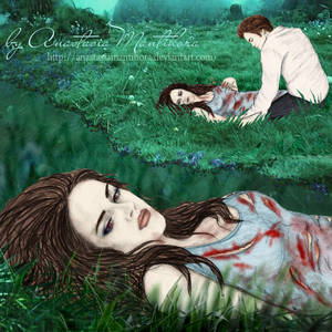 Breaking Dawn: Hunting 5