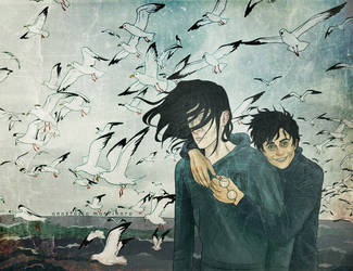 Seagulls aim at Snape