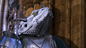 Xallir the Dragonborn