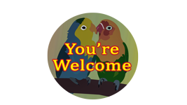 Parrots-thank-you