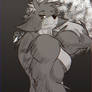 Practice Wolfgal 2026-6-3