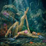 Mermaid's dream
