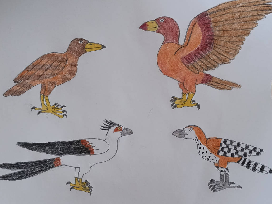 Crow Rator Raptor Crow Family by tommy298 on DeviantArt