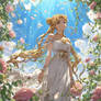 Petals in the Sun
