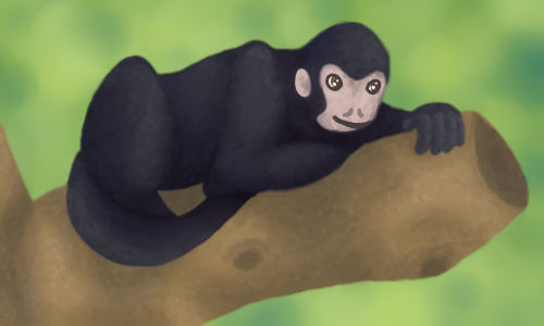 Spidermonkey