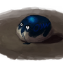 A pet rock