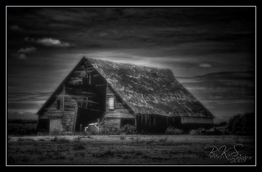 Black and White Barn