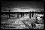 The Walk Of Life by o0oLUXo0o