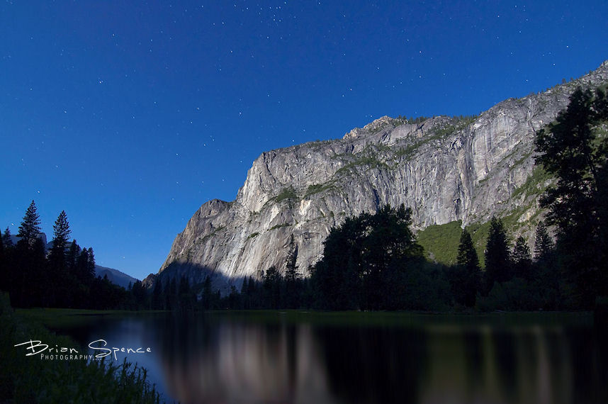 Yosemite Night Life