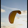 Paraglider