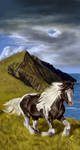 Ireland by Qannik