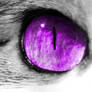 Purple Cat's Eye