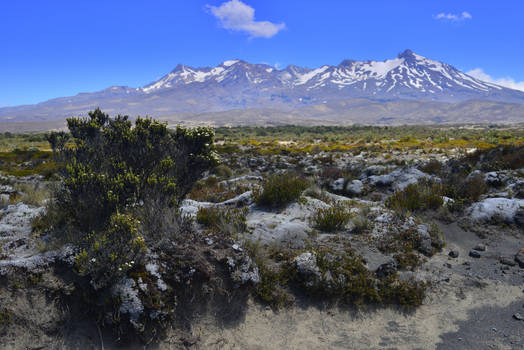 Mt Ruapehu 3