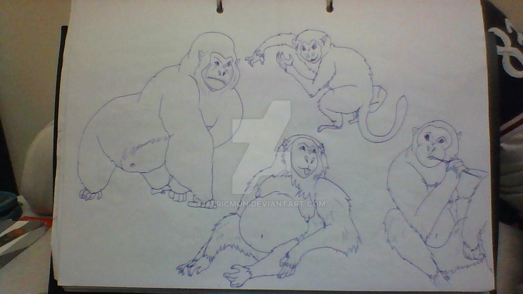 Primates Deviantart Primates by aericmon on DeviantArt