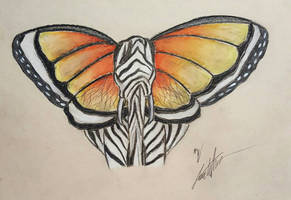 Elephant/zerbra/butterfly