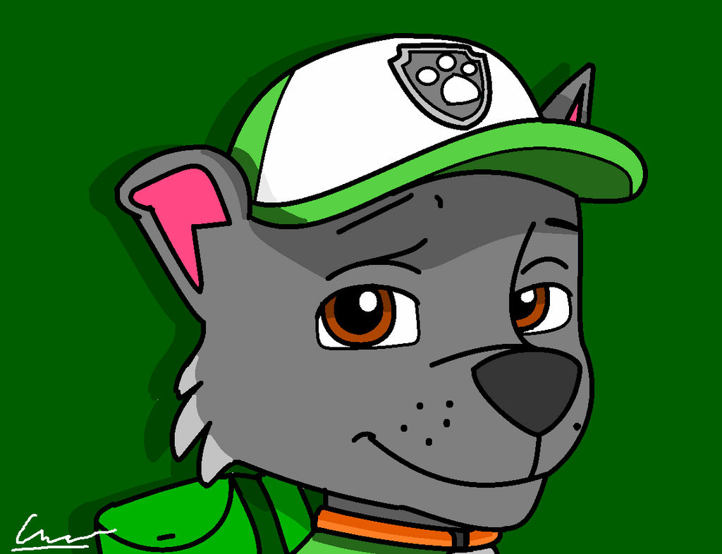 Paw Patrol Rocky by KnightAtNights on DeviantArt