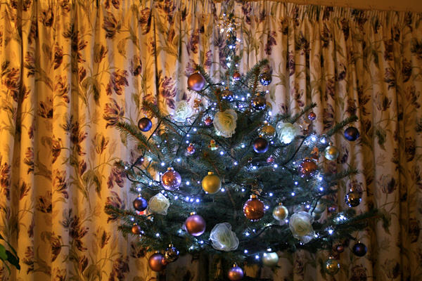 My Xmas Tree 08