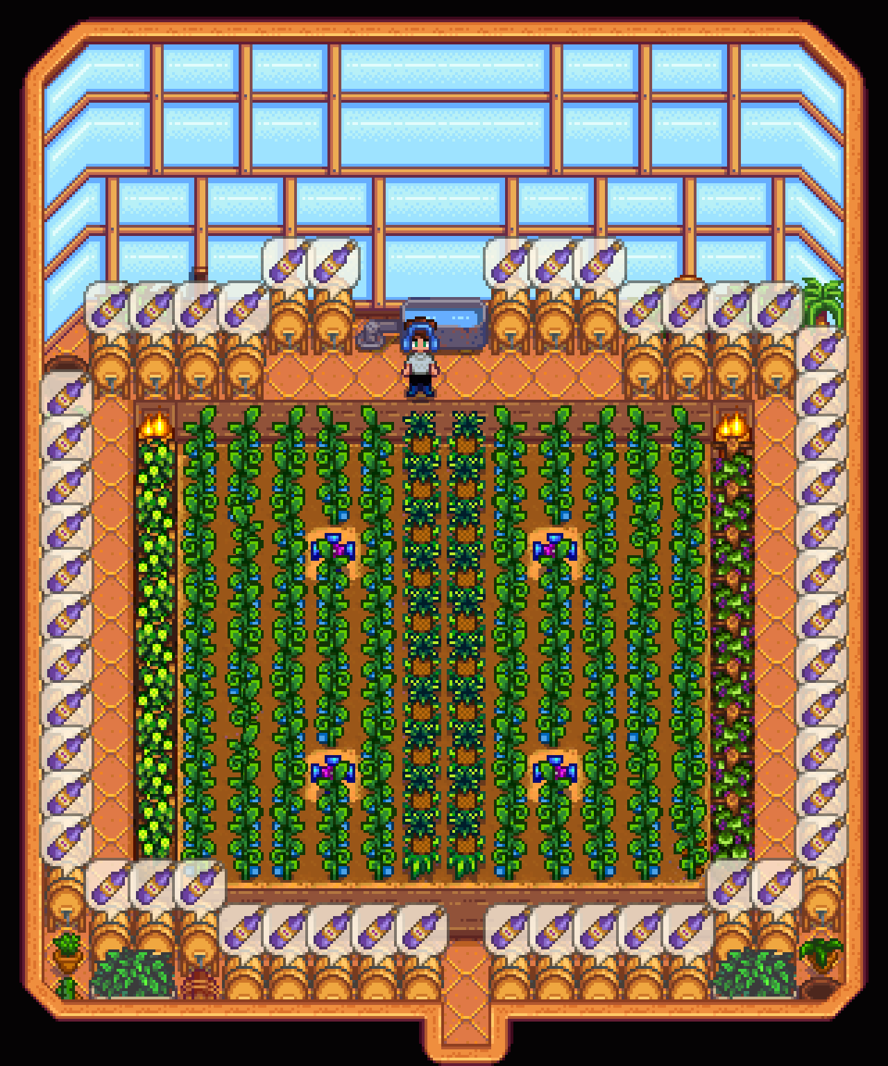 Stardew Valley: Greenhouse after 1.5 update by HarvestMoonFreak723 on  DeviantArt