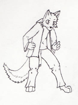 Folf anthro