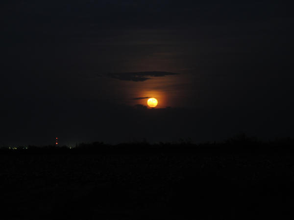 Moonrise1