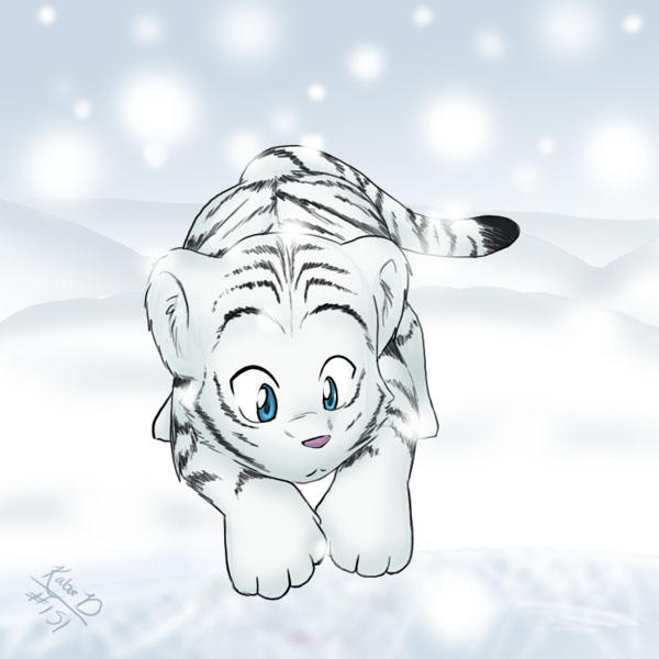 White Tiger Cub by mewgal on DeviantArt