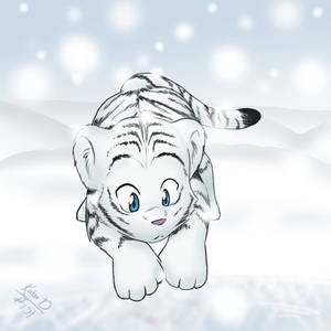 White Tiger Cub