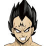 Vegeta Magnet Design