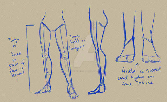 Tutorial : Legs