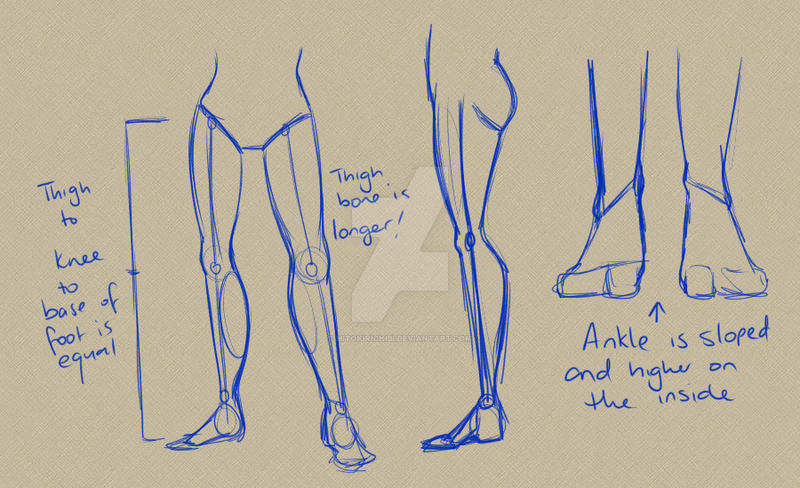 Tutorial : Legs by HitokiriChibi on DeviantArt