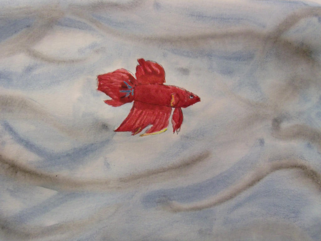 Flash of Red by GeneralWildfire on DeviantArt