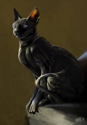 Obsidian Sphynx