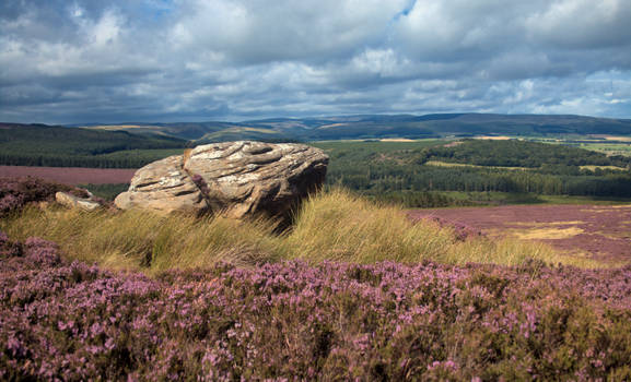 Upon the Heath