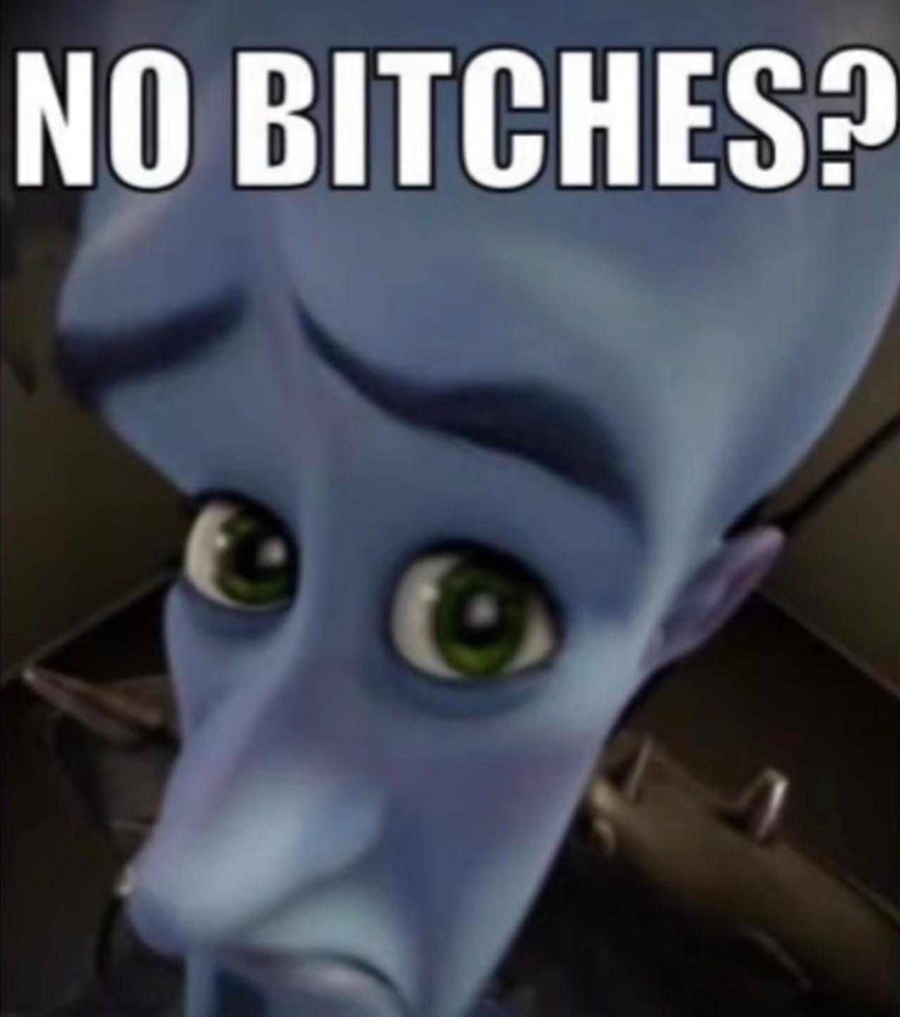 No bitches? meme