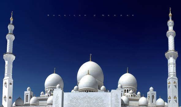 Sheikh Zayed Mosque - by day-