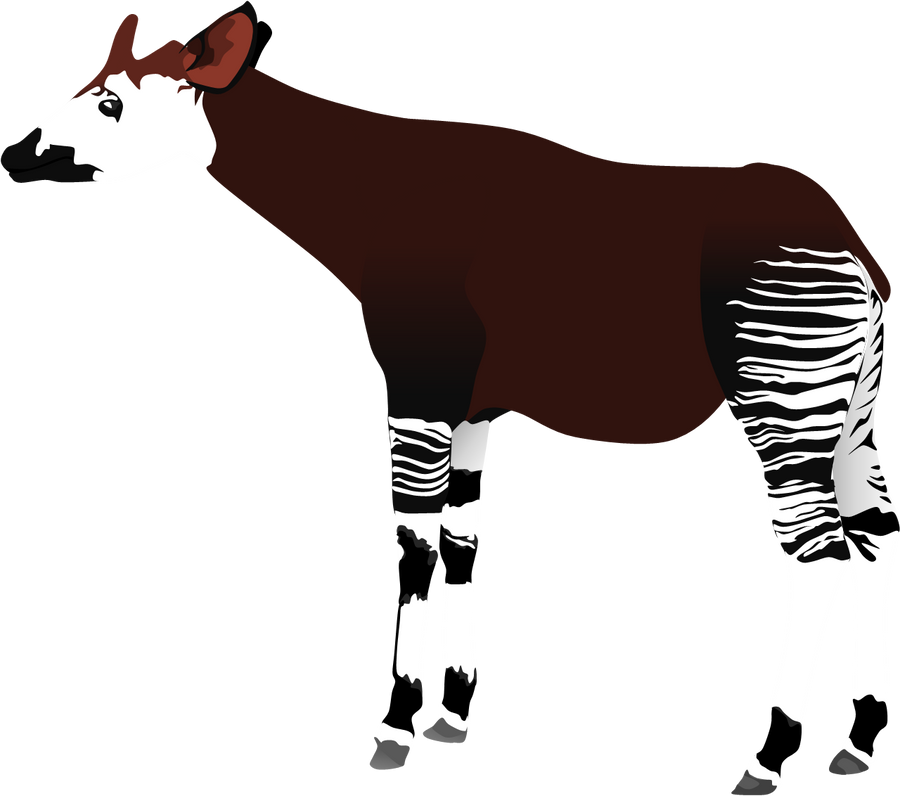 Okapi by AdamZT2 on DeviantArt