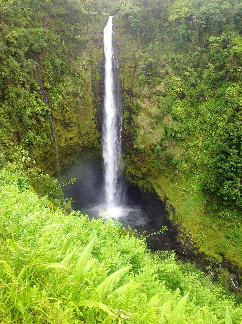 Akaka Falls