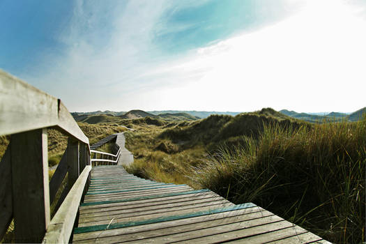 40.52 - dunes of Amrum