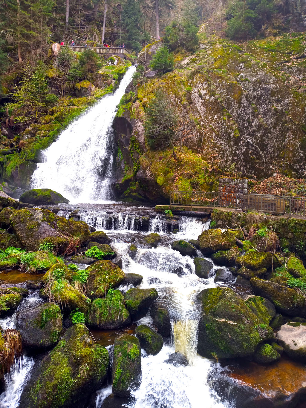 Triberg Waterfalls By Ynishii On DeviantArt triberg-waterfalls-by-ynishii-on-deviantart