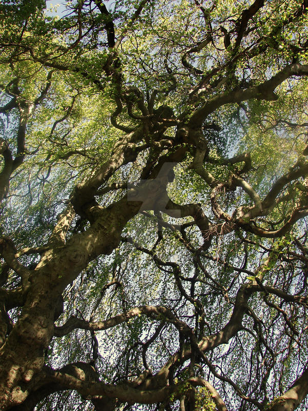 Twisted Limbs by GinaGuillotine on DeviantArt