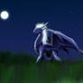 Night dragon