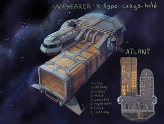 Wayfarer class medium transport Atlant