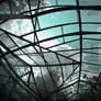 abandoned glasshouses III