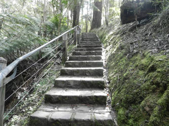 Stairs in the forest