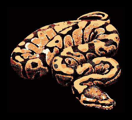 Ball Python by JoshuaSuccess on DeviantArt