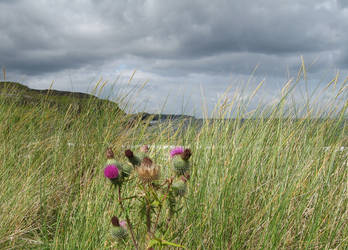 crown of the Highlands